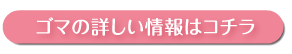 tࣖ畗