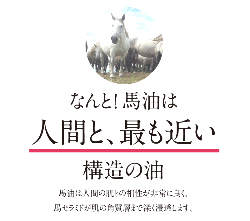 馬油は人間と最も近い構造の油。