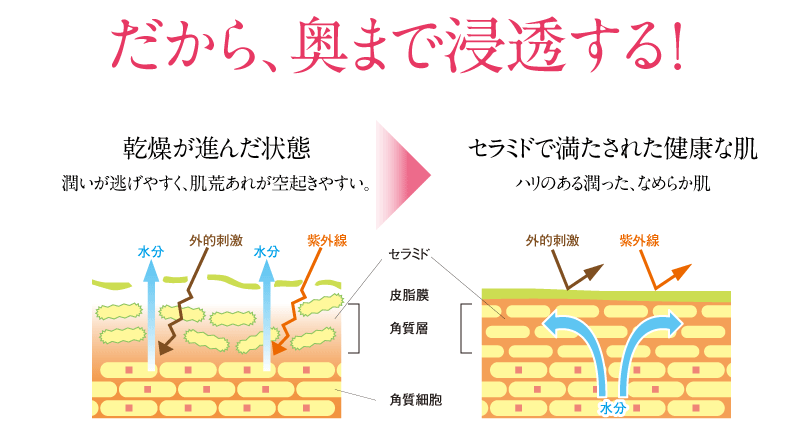 だから、奥まで浸透する