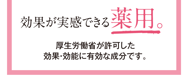 厳選したビタミンC。しみこみ量がスゴイ