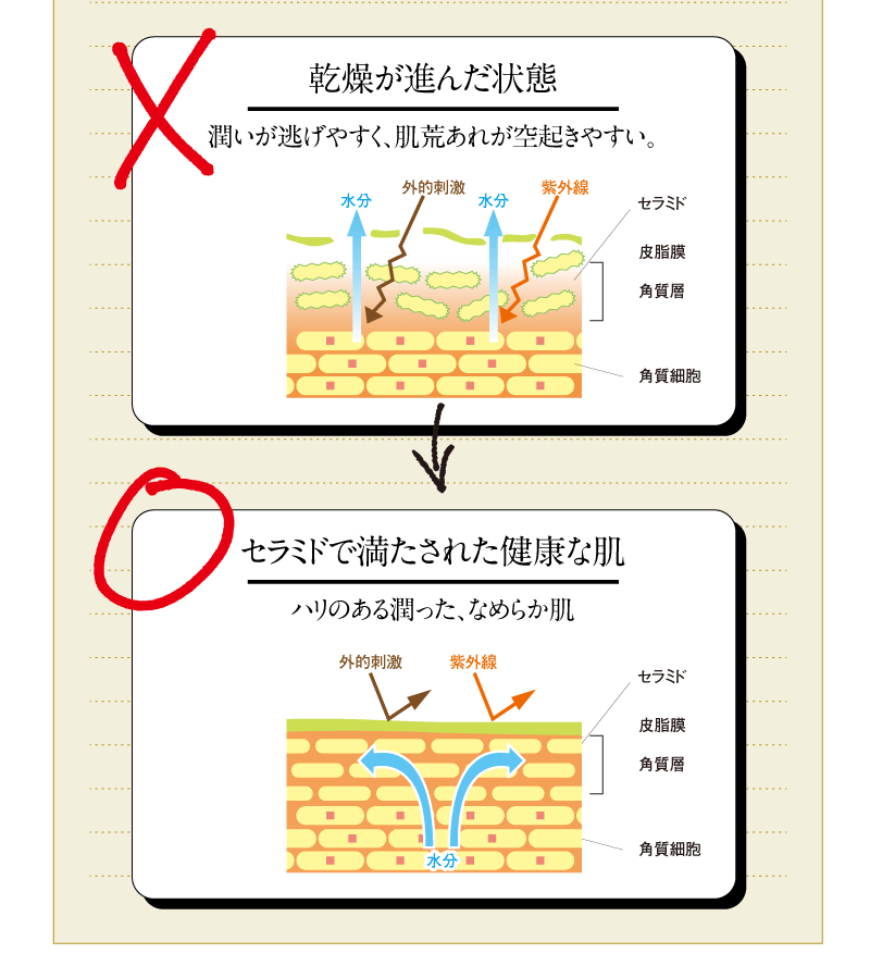 だから、奥まで浸透する