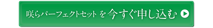 パーフェクトセットを今すぐ申し込む