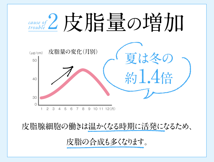 皮脂量の増加