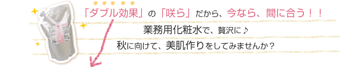 ƖpϐŁAґɁ@HɌāAĂ݂܂񂩁H