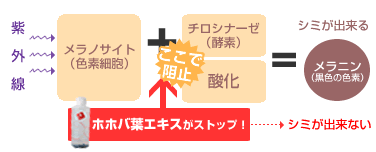 zzotGLX