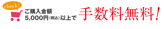 ご購入金額5,000円以上で手数料無料