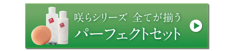 パーフェクトセットご購入はこちら